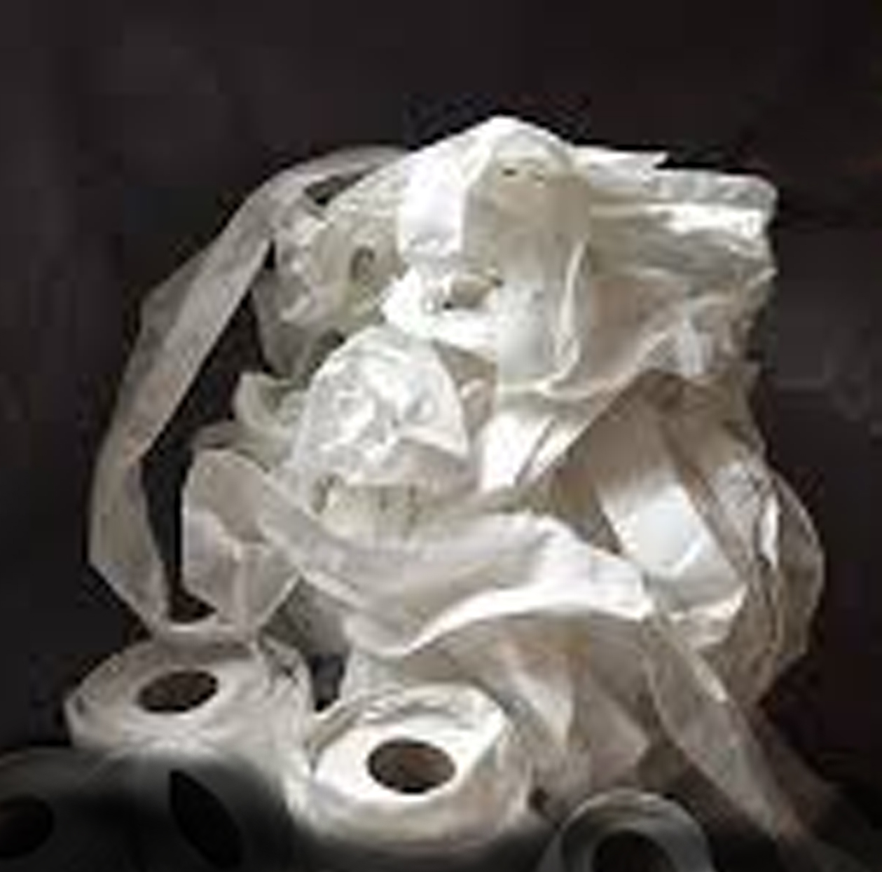 toilet paper unrolled